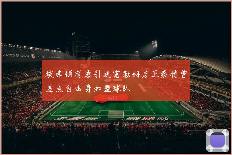 埃弗顿有意引进富勒姆后卫泰特曾差点自由身加盟球队