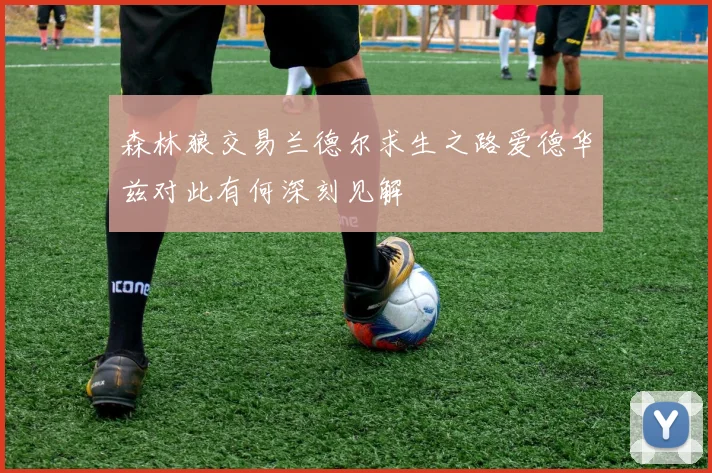 森林狼交易兰德尔求生之路爱德华兹对此有何深刻见解