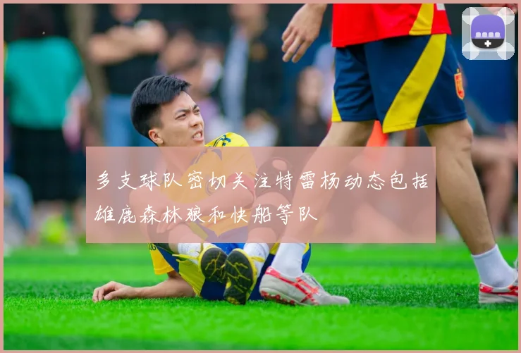 多支球队密切关注特雷杨动态包括雄鹿森林狼和快船等队