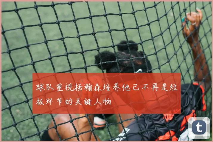 球队重视杨瀚森培养他已不再是短板环节的关键人物