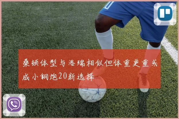 桑顿体型与洛瑞相似但体重更重或成小钢炮20新选择