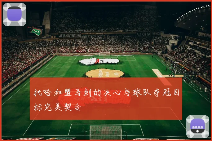 托哈加盟马刺的决心与球队夺冠目标完美契合